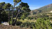 Vente Maison Benahavis 29679
