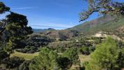 Annonce Vente Maison Benahavis