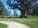 Acheter Terrain Sanxenxo r�gion PONTEVEDRA