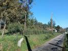 Vente Terrain Salvaterra-de-mino 36450
