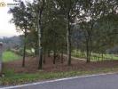 Annonce Vente Terrain O-porrino