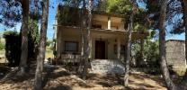 Vente Maison Torrevieja 03180