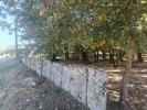 Vente Terrain Tui 36700