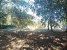 Annonce Vente Terrain Tui