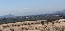 Acheter Terrain Guardamar-del-segura r�gion ALICANTE