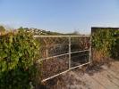 Annonce Vente Terrain Calpe
