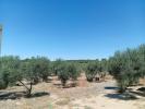 Annonce Vente Terrain Villablanca