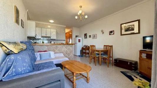 Acheter Appartement Setla r�gion ALICANTE