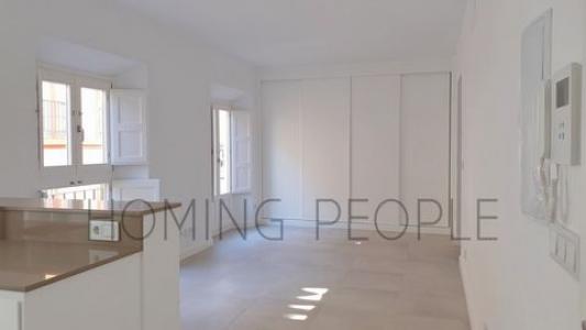 Annonce Location Appartement Malaga