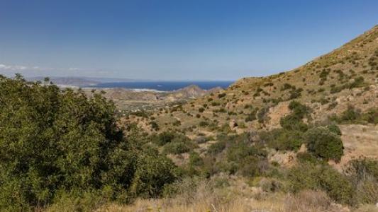 Acheter Local commercial Mojacar