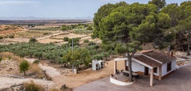 Annonce Vente Maison La-tercia