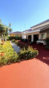 Annonce Vente Maison Matalascanas