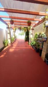 Acheter Maison 140 m2 Matalascanas