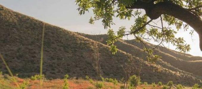 Acheter Maison Almazaras r�gion MURCIA