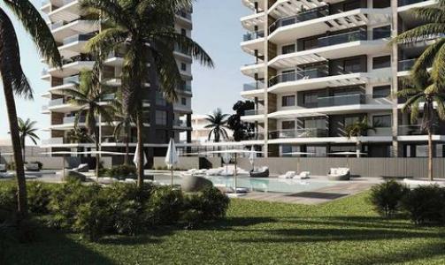 Acheter Appartement 104 m2 Calp