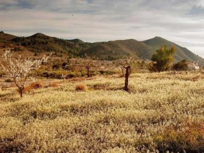 Acheter Maison Almazaras r�gion MURCIA
