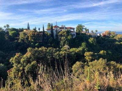 Acheter Terrain Marbella r�gion MALAGA