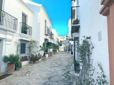 Acheter Maison 396 m2 Marbella