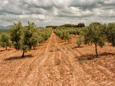 Acheter Maison Malaga r�gion MALAGA