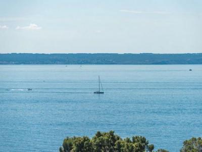 Annonce Vente 5 pi�ces Appartement Cas-catala