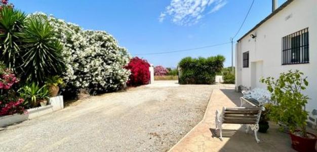 Acheter Maison 196 m2 Daya-nueva