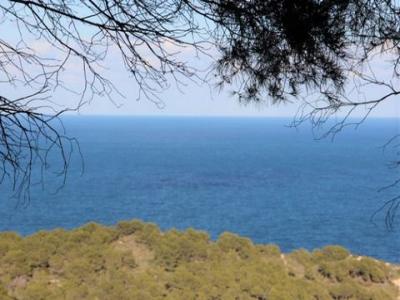 Acheter Maison 319 m2 Javea