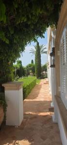Acheter Maison 750 m2 Alparatas