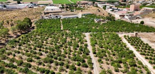 Acheter Maison Orihuela r�gion ALICANTE