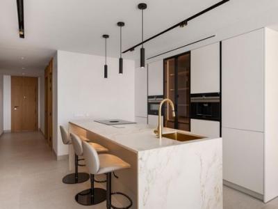 Acheter Appartement 170 m2 Marbella