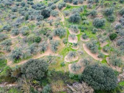 Vente Terrain Riogordo  MA en Espagne