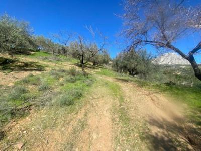 Acheter Terrain 9175 m2 Riogordo