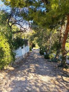 Annonce Vente Maison Algoda