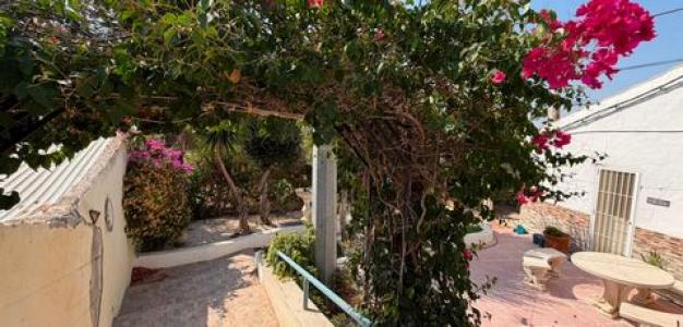 Annonce Vente Maison Orihuela