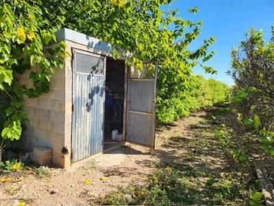 Annonce Vente Terrain Santa-barbara