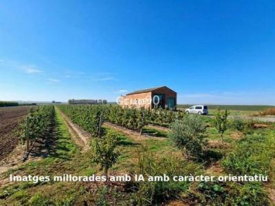 Annonce Vente Terrain Alcoletge
