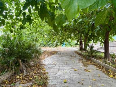 Acheter Maison Tortosa r�gion TARRAGONA