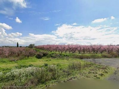 Acheter Terrain 13950 m2 Lleida