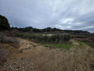 Vente Terrain Alpicat  L en Espagne