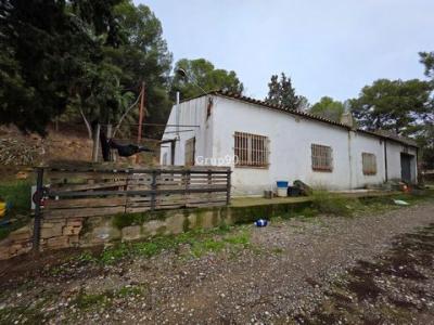 Annonce Vente Terrain Alpicat