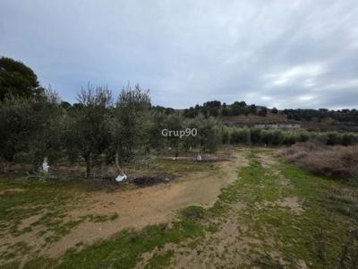 Acheter Terrain Alpicat r�gion LLEIDA