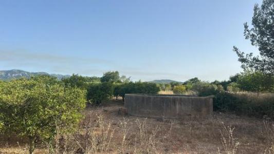 Vente Terrain Masdenverge  T en Espagne