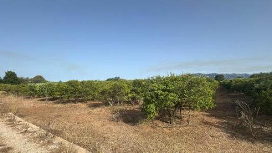 Annonce Vente Terrain Masdenverge