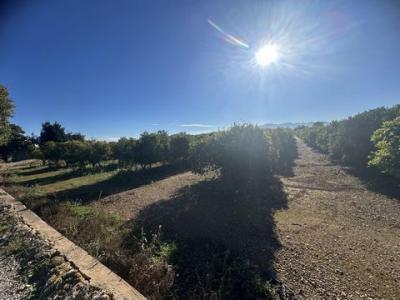 Acheter Terrain 26 m2 Masdenverge