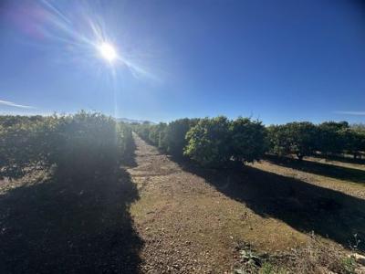 Acheter Terrain Masdenverge r�gion TARRAGONA