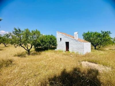 Annonce Vente Maison Godall