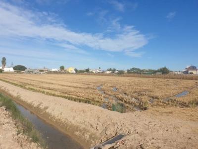 Annonce Vente Terrain Sant-jaume-d'enveja