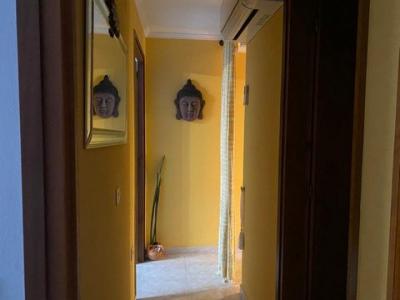 Acheter Appartement 166 m2 Alcanar