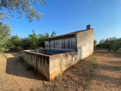 Vente Maison Ulldecona  T