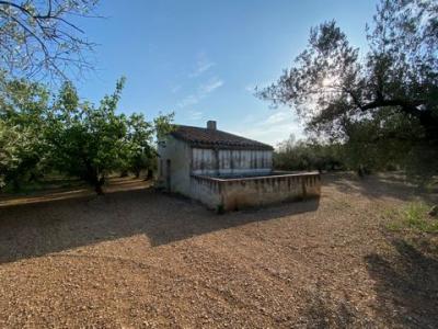 Acheter Maison 39 m2 Ulldecona