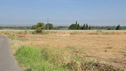 Annonce Vente Terrain Alcoletge